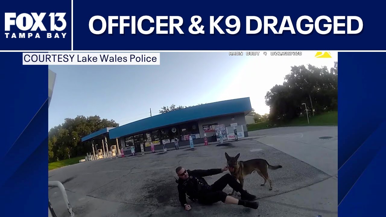 Florida officer & K9 dragged by suspect during traffic stop