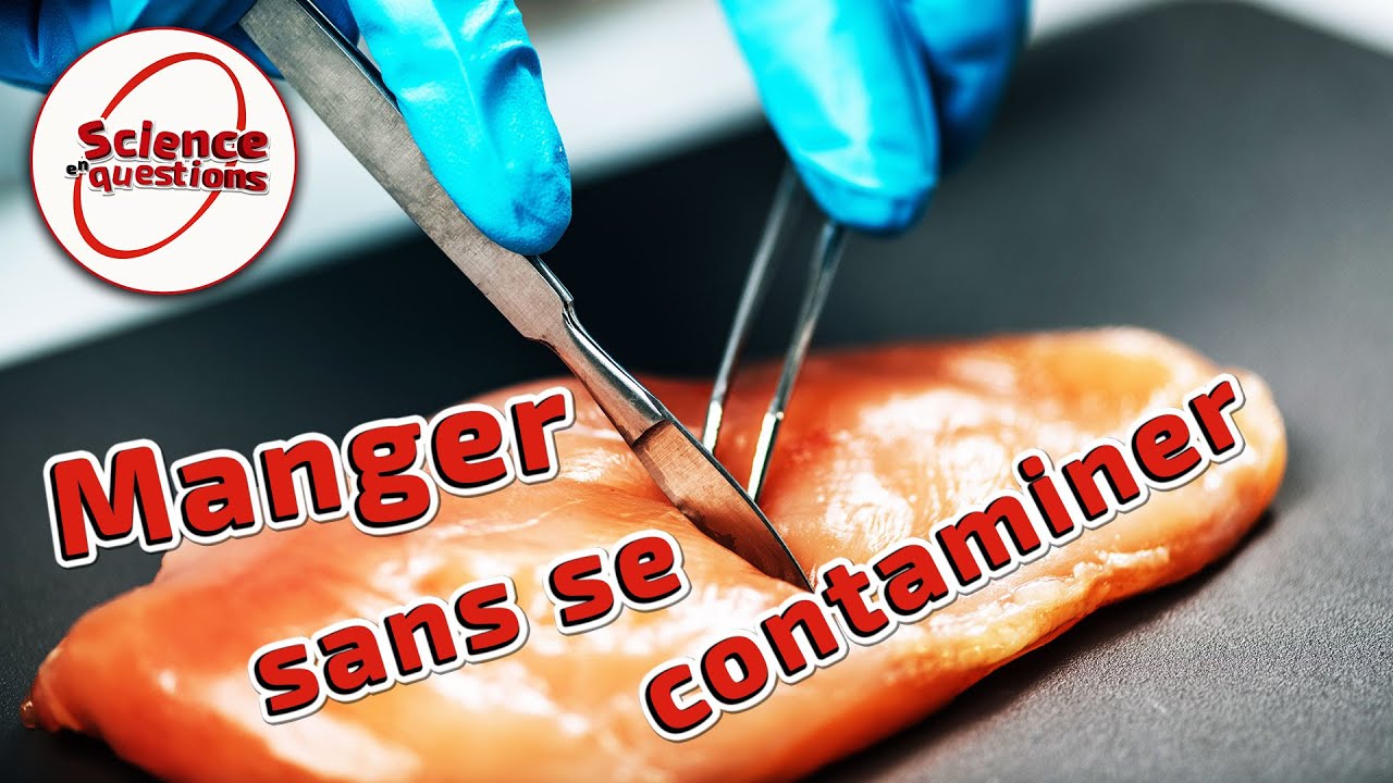 Comment éviter les intoxications alimentaires ? - Esprit Sorcier
