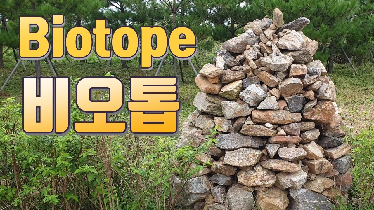 비오톱 (Biotope)