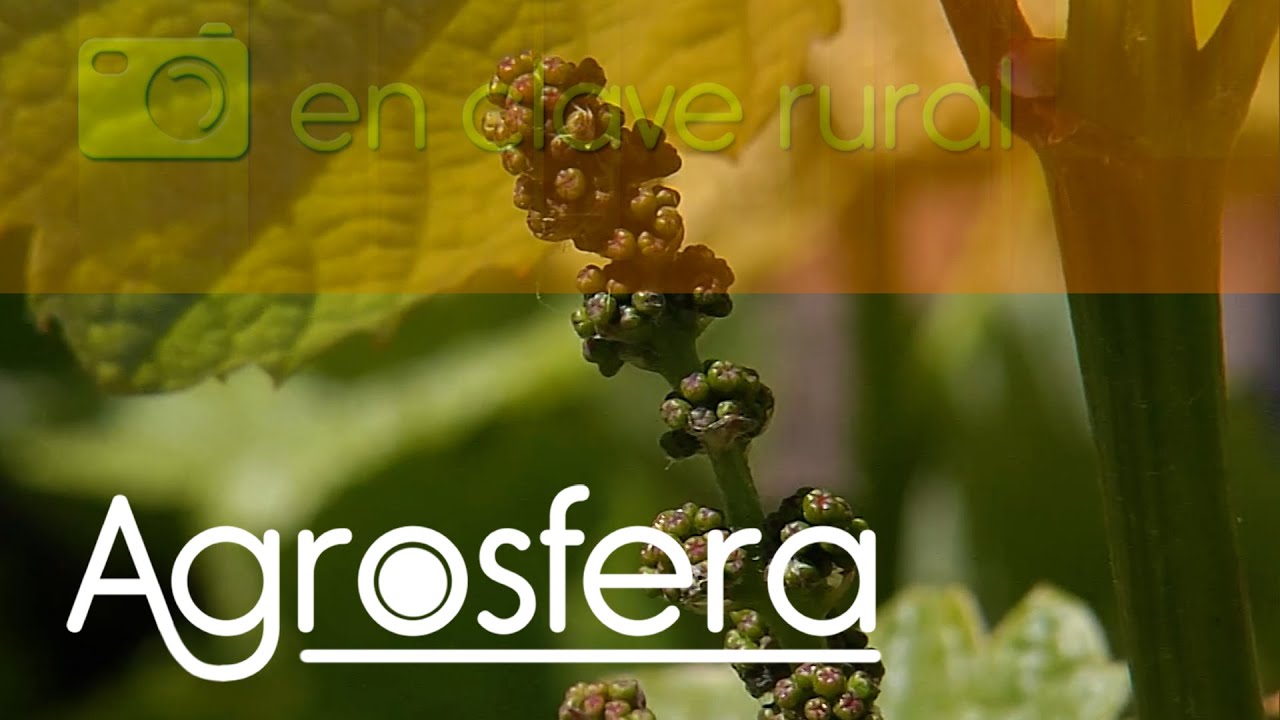 Turismo rural La Fregeneda / Salamanca | Agrosfera