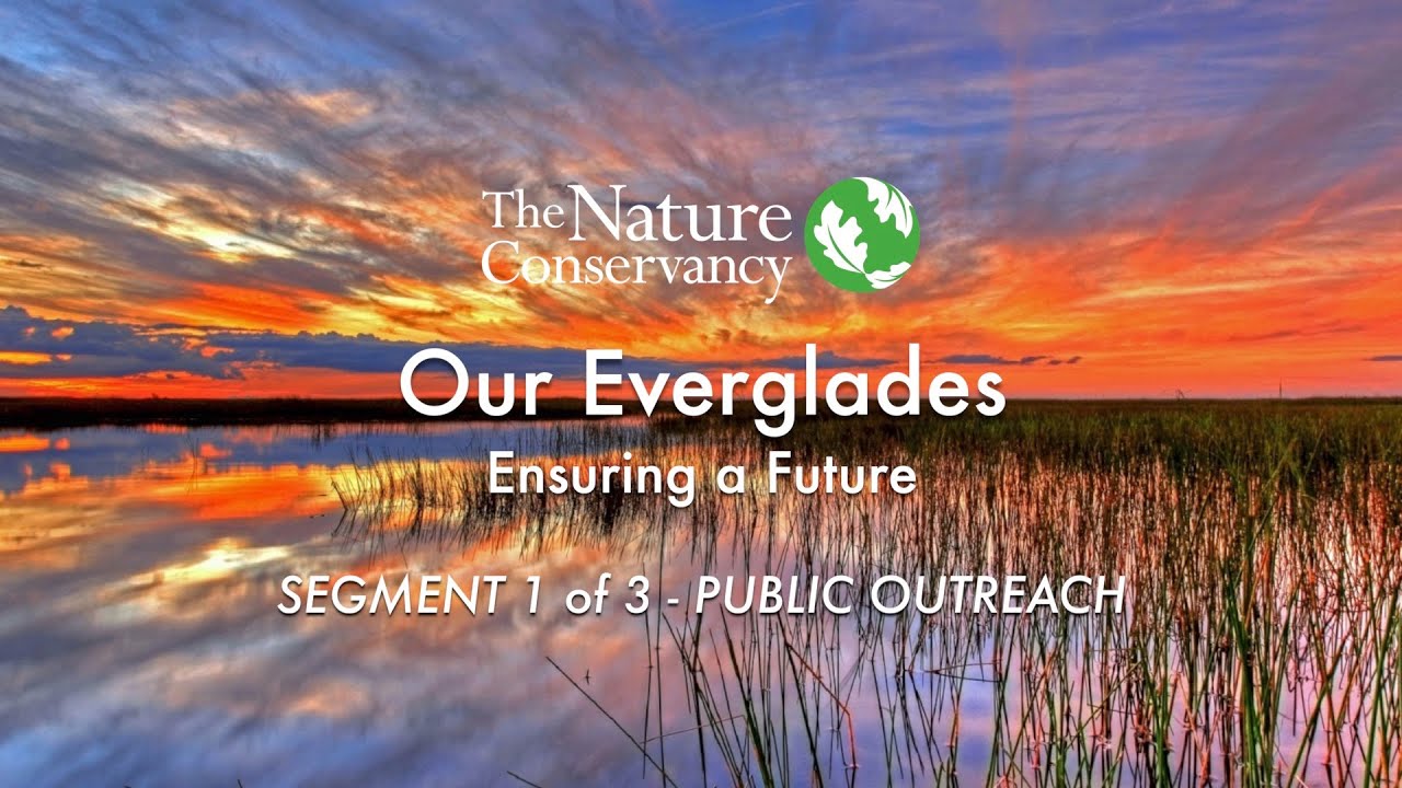 The Nature Conservancy | Our Everglades - Ensuring a Future | Segment 1 of 3 - Public Outreach