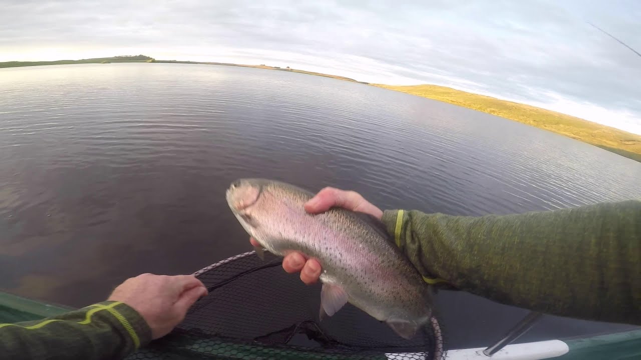 Fly Fishing - Harelaw Dam - Dryfly fishing