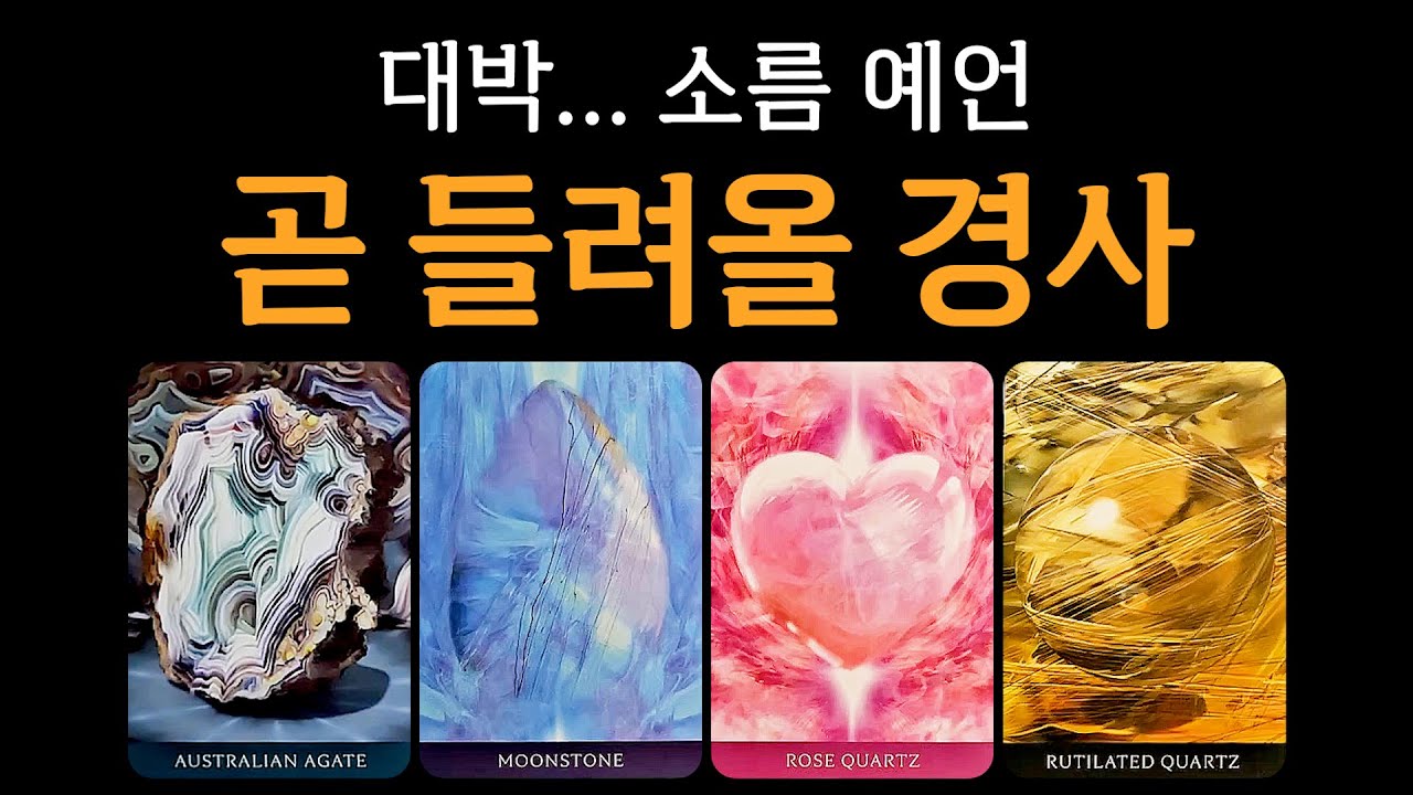 [타로] 곧 들려올 경사🙏 대박... 소름 예언🫢
