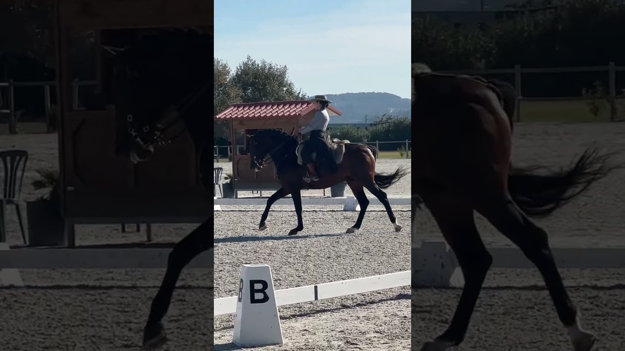 Working Equitation - Habil e Nicole - Dressage Test - Golega 2024