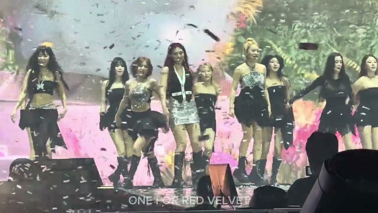 [4K60] 240802 Cosmic - 2024 Red Velvet FANCON TOUR (HAPPINESS: My Dear, ReVeluv) in SEOUL