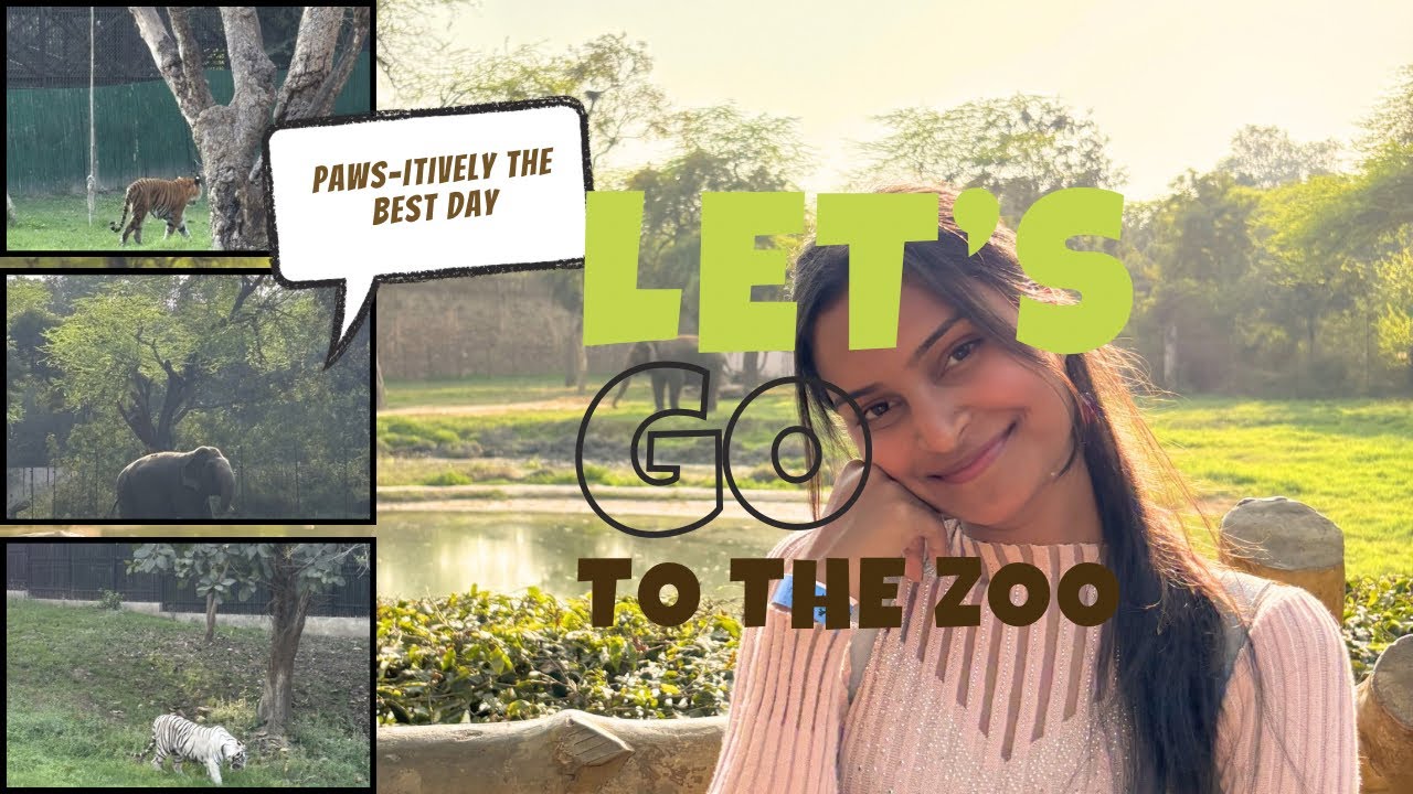 Where the wild things are🦣🦥🦓|Zeenat Ali|