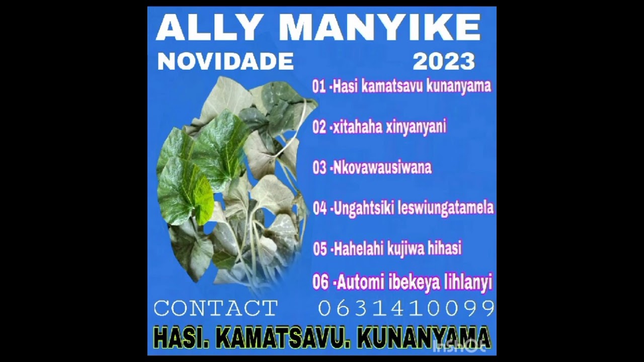 Ally Manyike- Xitahaha xinyanyani Mp3