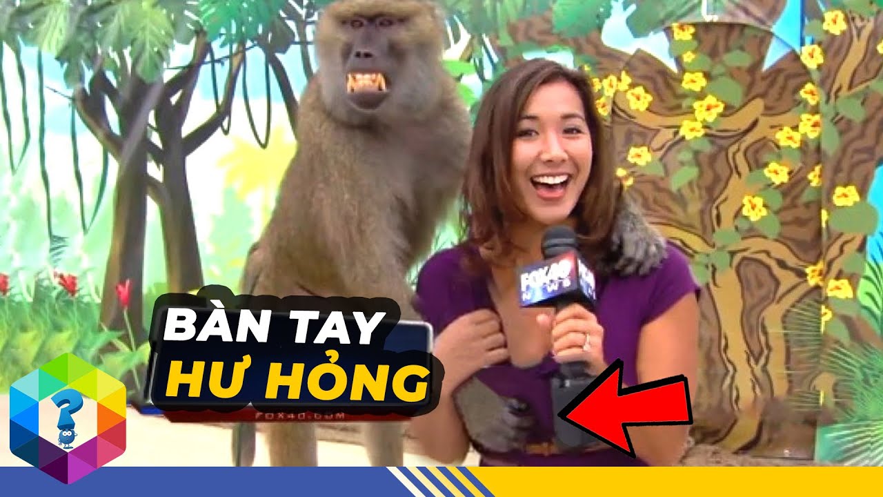 Những Tình Huống 