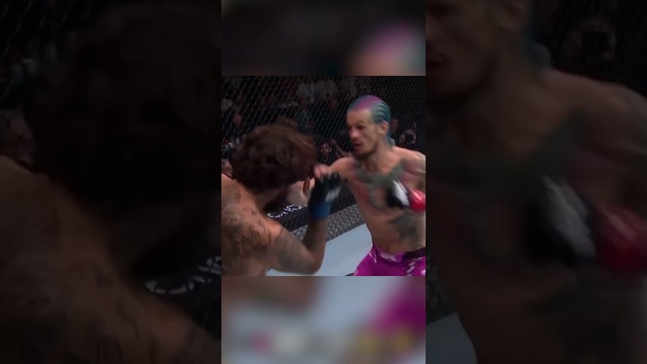 Easy Money | UFC 299