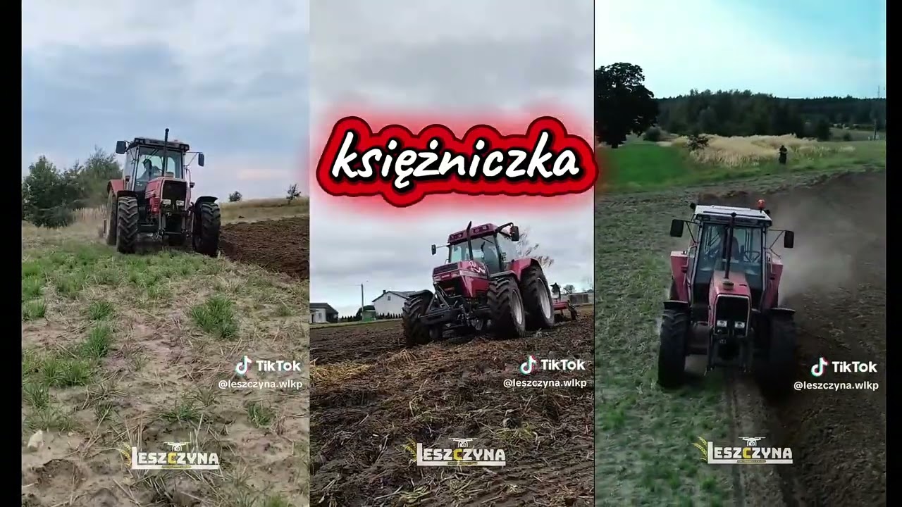 POWER BOY & SEQUENCE księżniczka ale to vixa