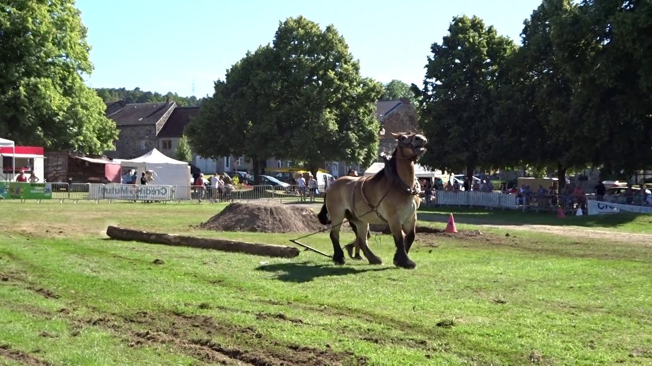 Concours de débardage 2018 . Hargnies 08