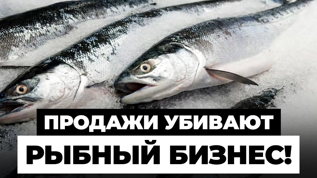 Из-за этой ФАТАЛЬНОЙ Ошибки Закрываются ФЕРМЫ УЗВ. Как ее не допустить и не ПОТЕРЯТЬ Свой БИЗНЕС?
