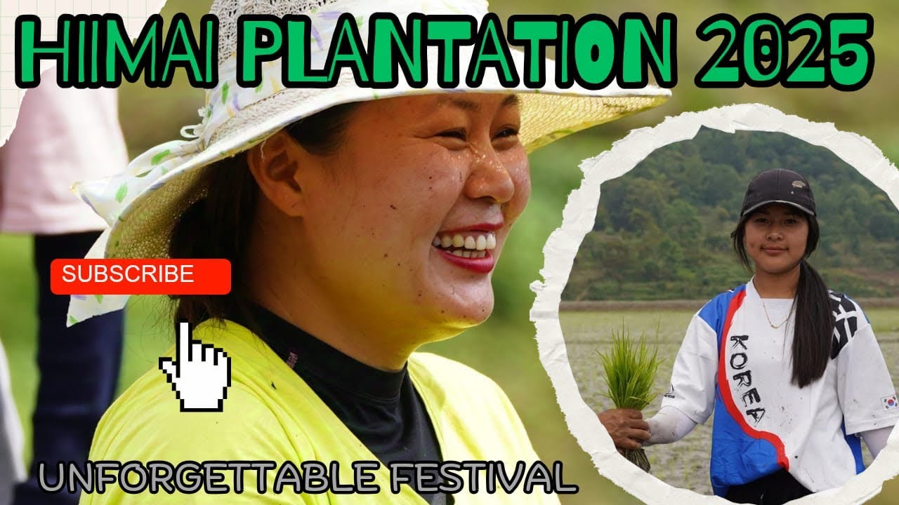 Hiimai paoki  2025