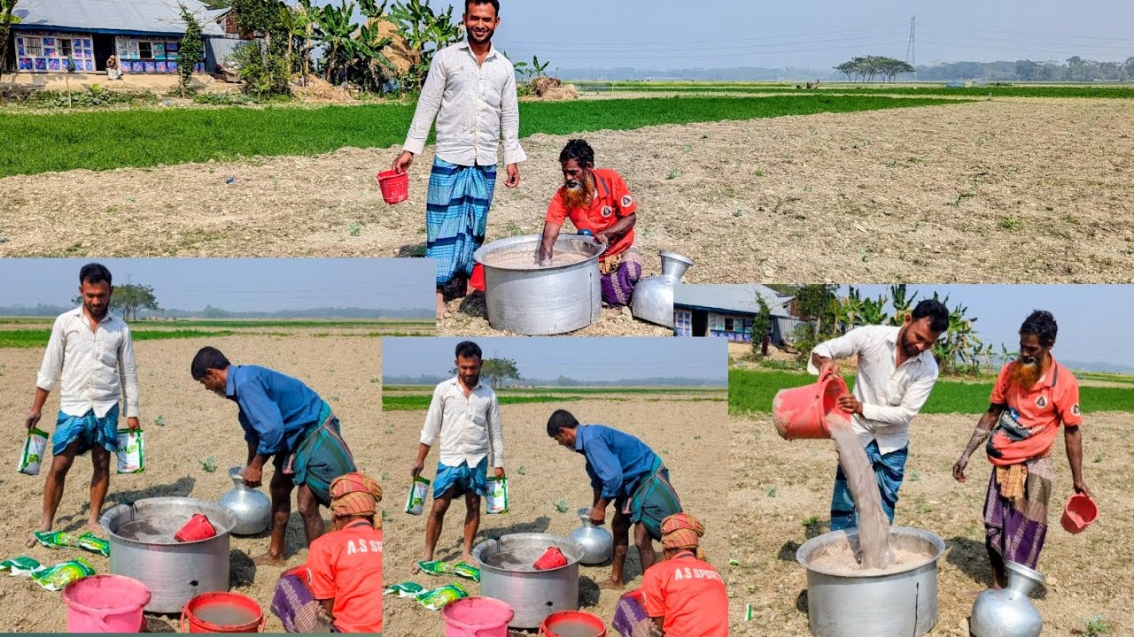 তরমুজ গাছেরে দুধ চা খাওয়ালাম|Gharami Agro Farm#farmlife 