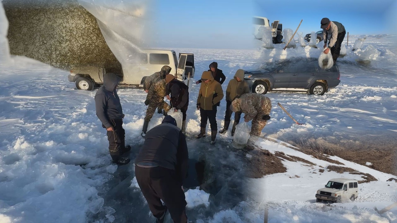 УТРК НАРЫН:СОҢ-КӨЛГӨ ТӨРТ МЛН ЧАБАКТАР КОЁ БЕРИЛДИ