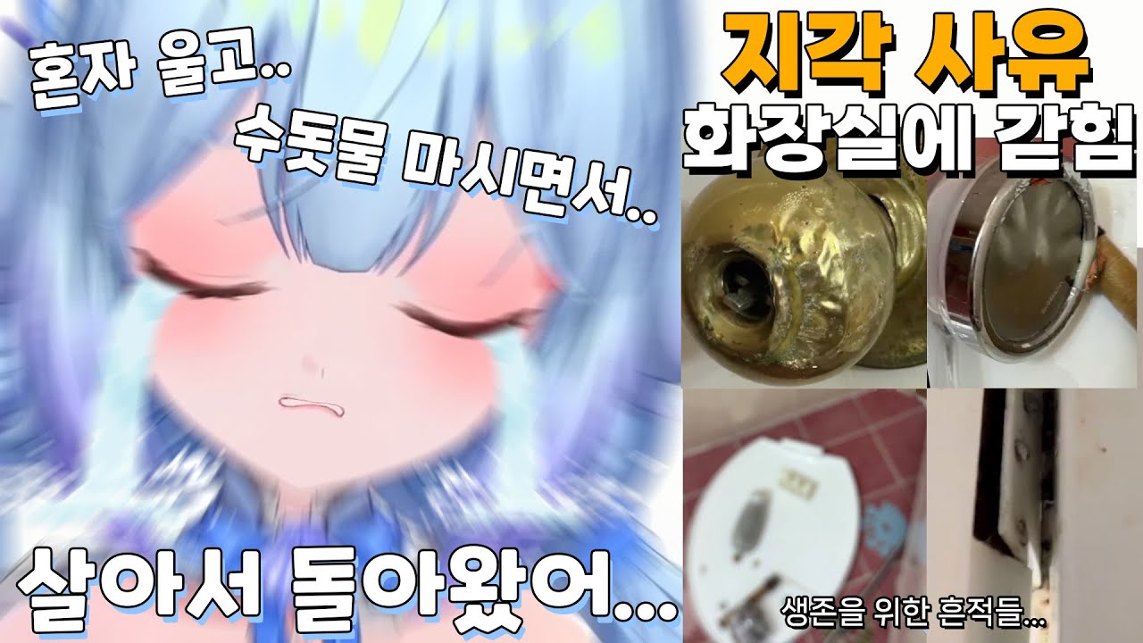 5일만에 다시 만난 포포포포와의 재회는 슬펐다.