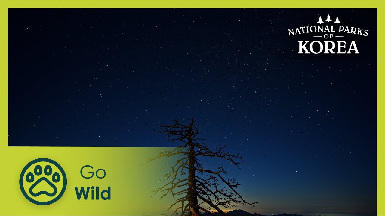 Горы | Национальные парки Кореи 1/3 | Отдохни на природе
