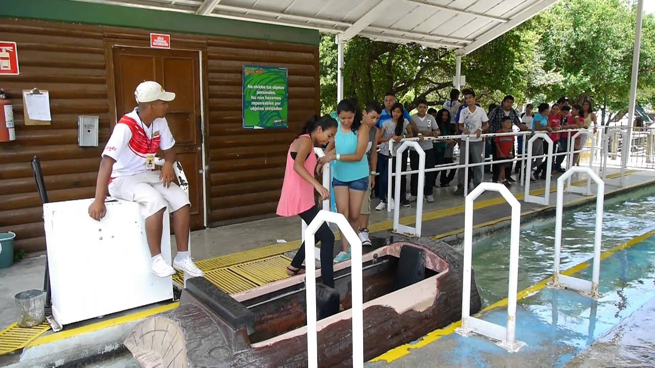 videoclip bosque magico