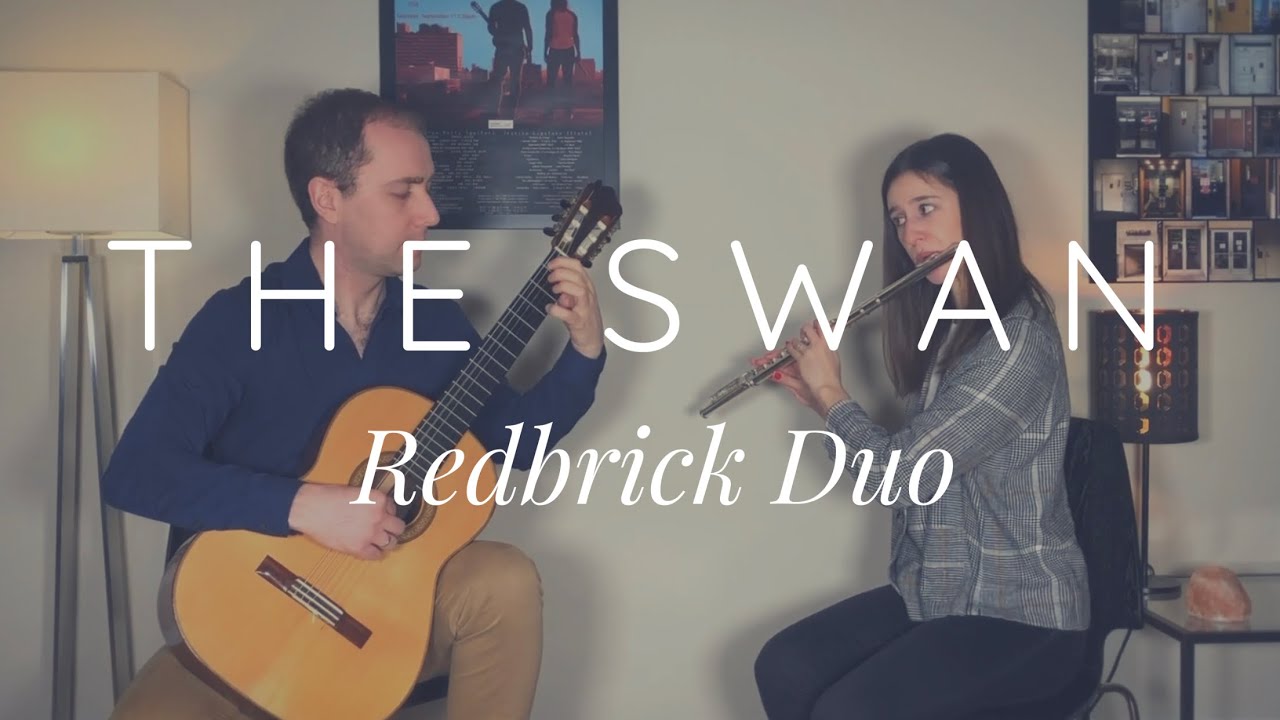 The Swan (arranged for Guitar and Flute)