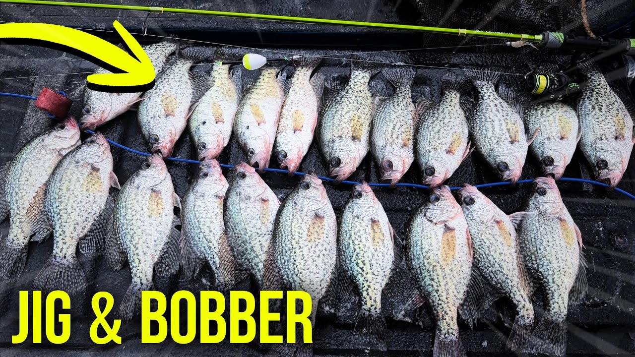 I WENT BACK‼️CREEK CRAPPIE FISHING WITH JIG & BOBBER!! FEBRUARY 2026!!