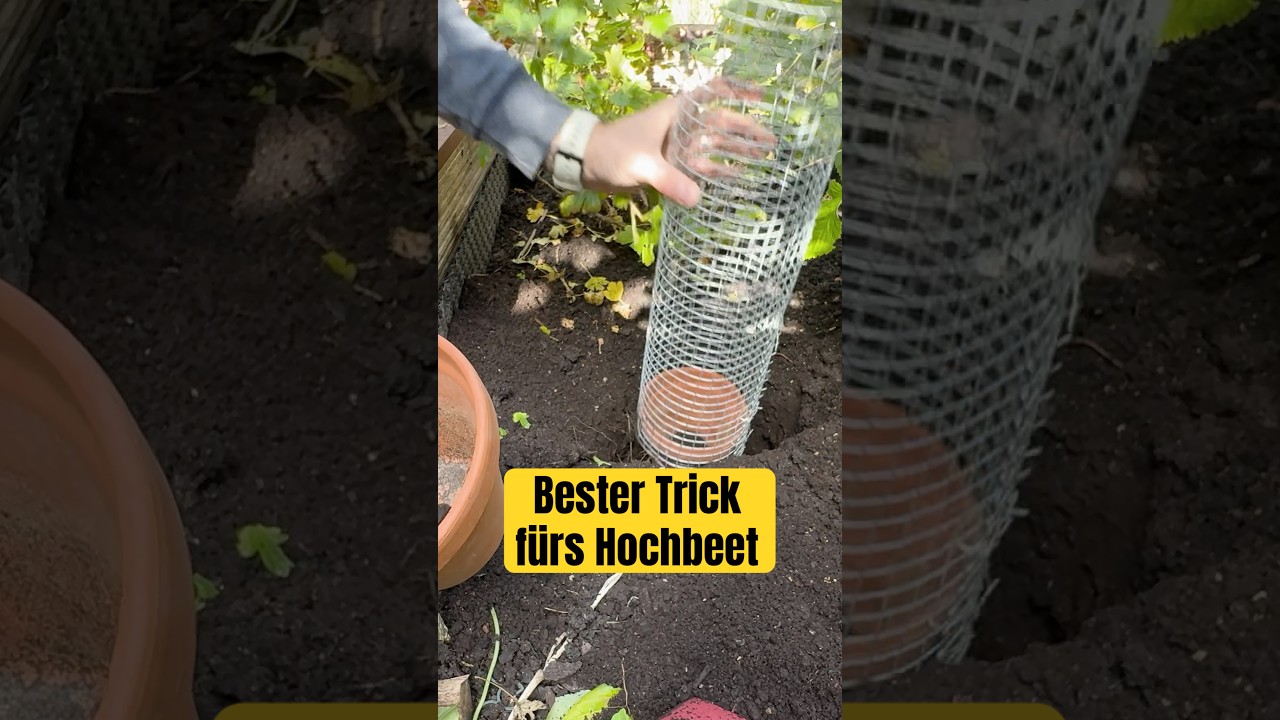 Mach das in dein Hochbeet - und es wird explodieren 🤩🌿￼