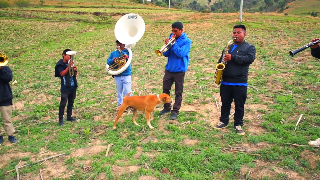 VIDEO OFICIAL- BANDA LA PEREÑA - PUPURRI DE CHILENAS -SAN MARTIN PERAS-2019
