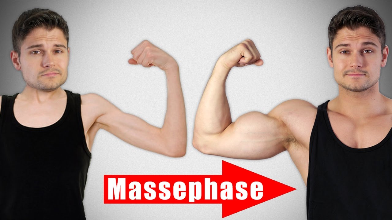 Tipps für eine erfolgreiche Massephase im Fitnesstraining