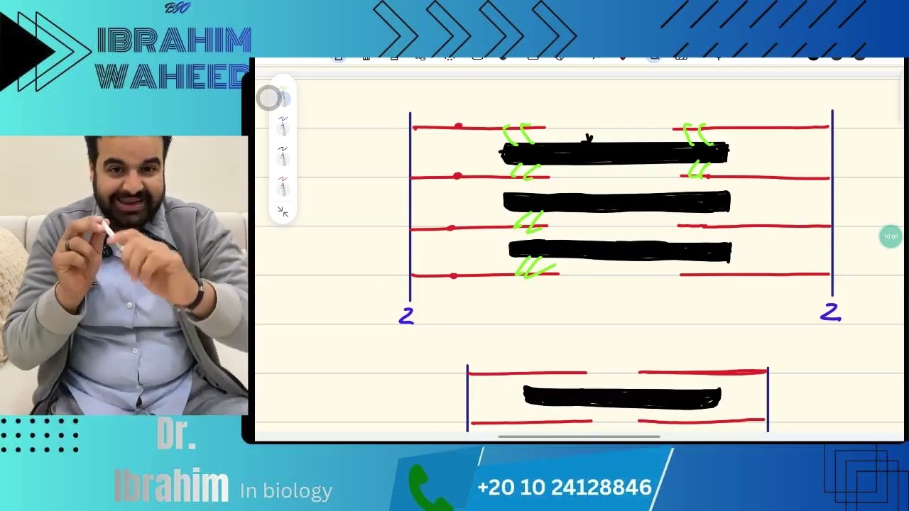 آلية الانقباض العضلي | التعب العضلي💪الجزء الاخير من درس الحركةــالصف الثالث الثانوي ــ أحياء 2026