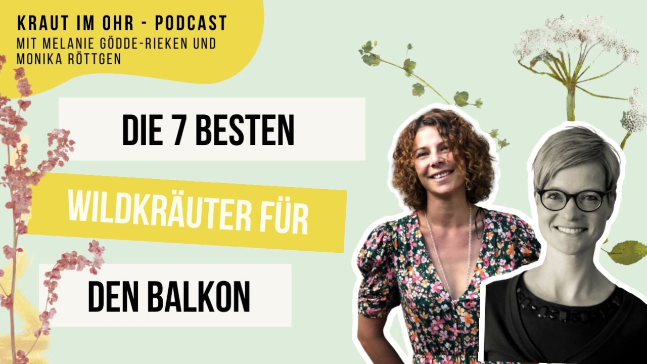 Podcast: Tipp Track: Die 7 besten Wildkräuter für deinen Balkon