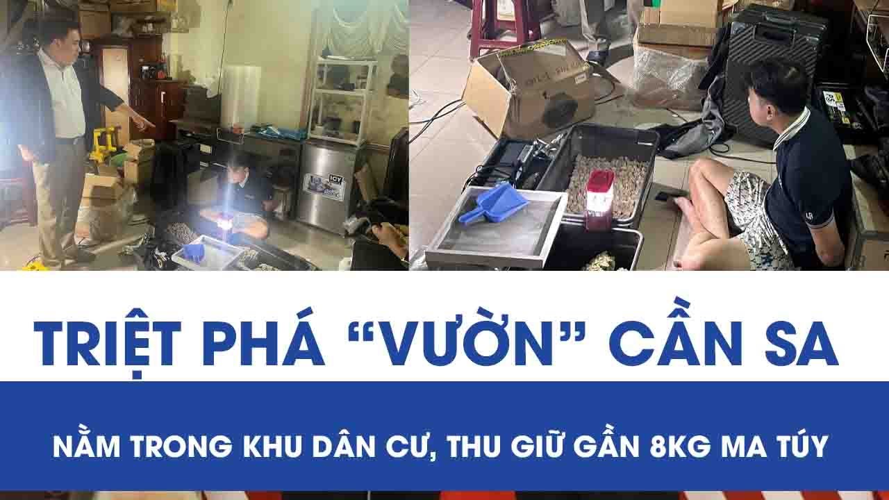 Choáng váng thanh niên 23 tuổi thuê nhà, lắp điều hòa để trồng cần sa quy mô lớn ở Đà Nẵng