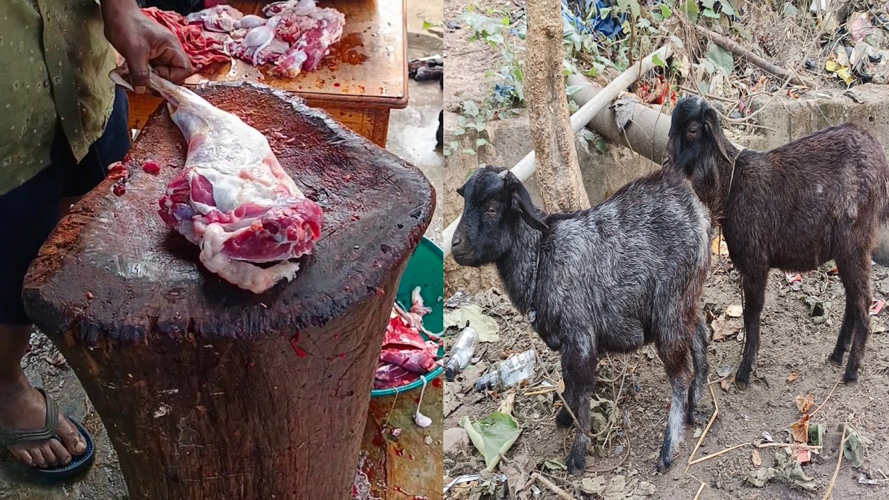 Desi patha cutting bondhura!! 