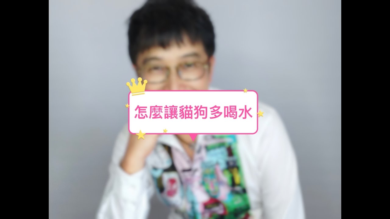 【寵物行為】如何讓貓狗更愛喝水