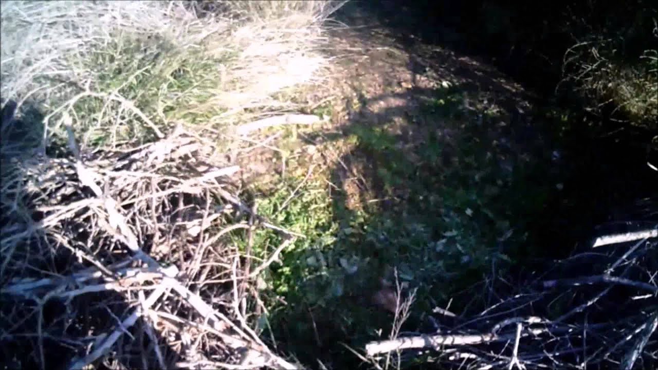 Partida en el campo NALA, Puertollano. 04 / 01/ 2015