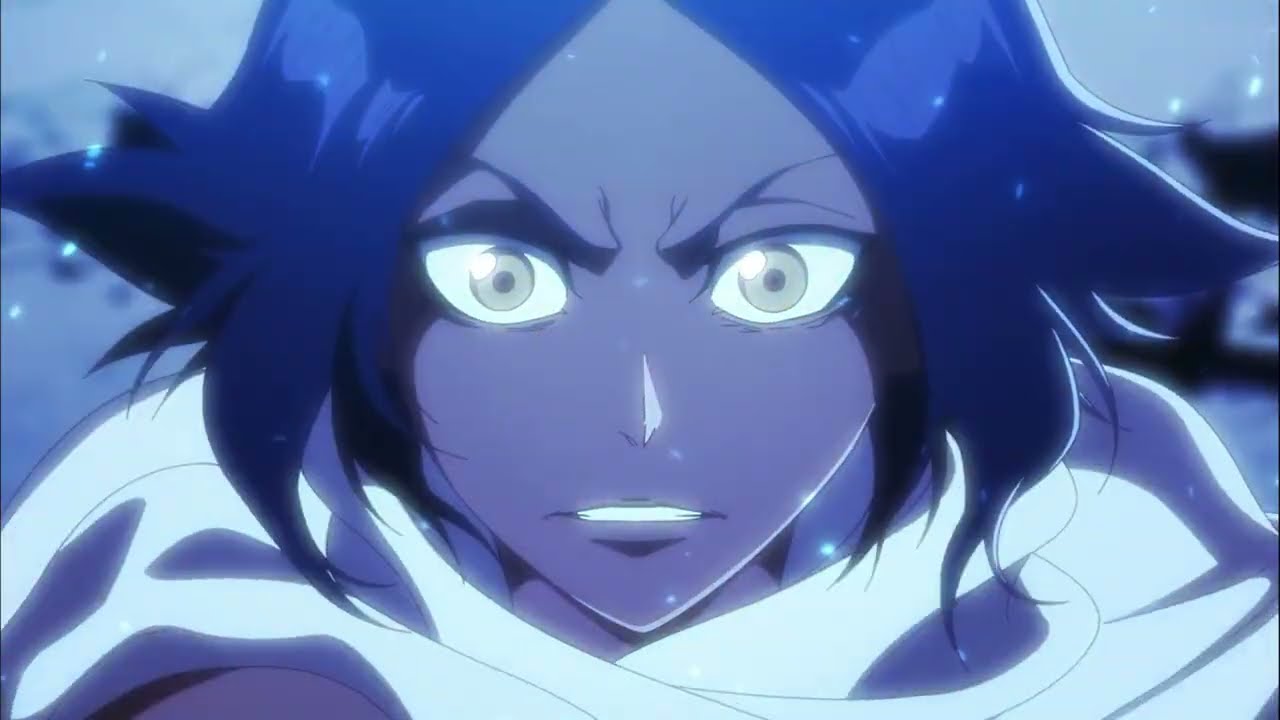 Yoruichi Shihoin All Powers Abilities & Fight Scenes in Bleach