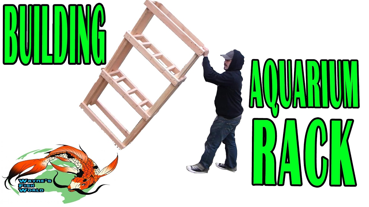 Building a 3 level stand for my fish room