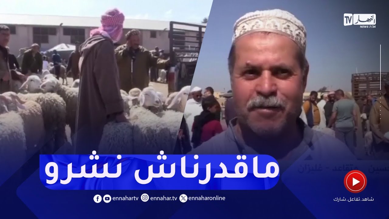 غليزان / قبل أسابيع من عيد الأضحى .. الركود يسيطر على أسواق المواشي