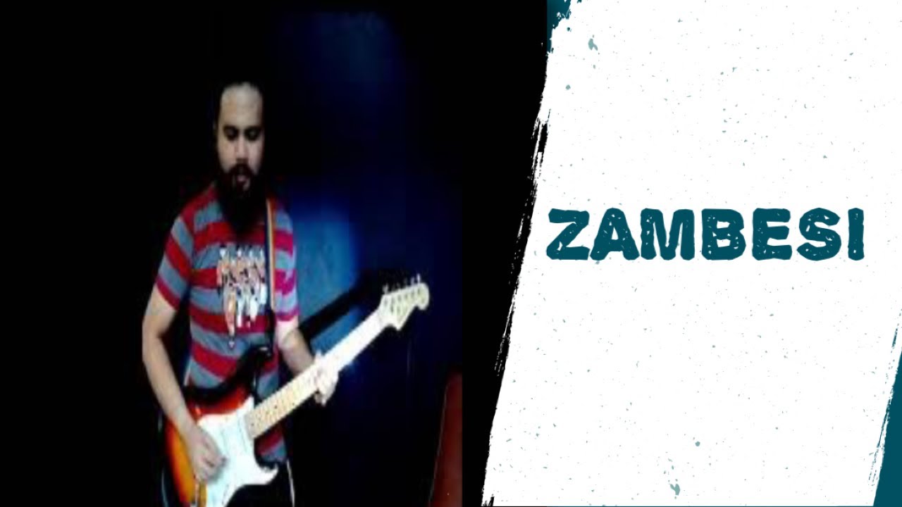 Zambesi - The Shadows - Guitar Cover #15