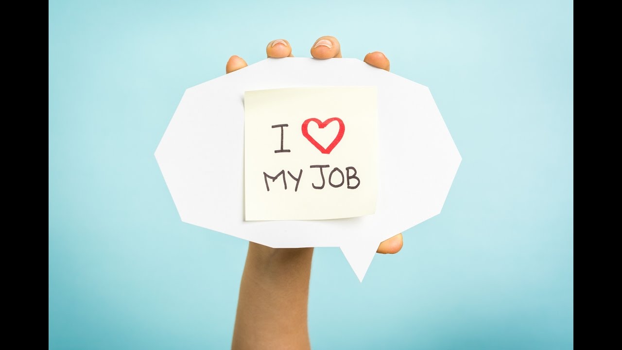 Organisational performance and engagement