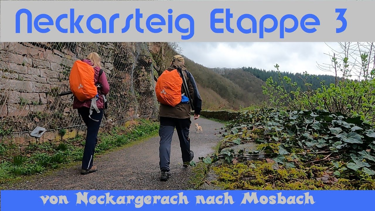 Neckarsteig Et.  3 | Neckarweg Et. 26 | Neckargerach nach Mosbach