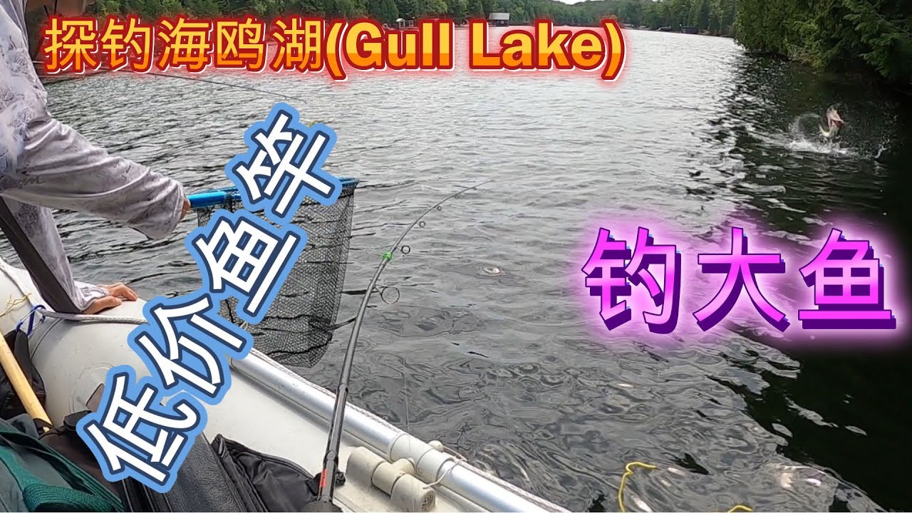 钓遍加拿大安大略省百湖(7)：探索海鸥湖(Gull Lake)，低价鱼竿钓大鱼 Fishing at Gull Lake with a cheap fishing rod