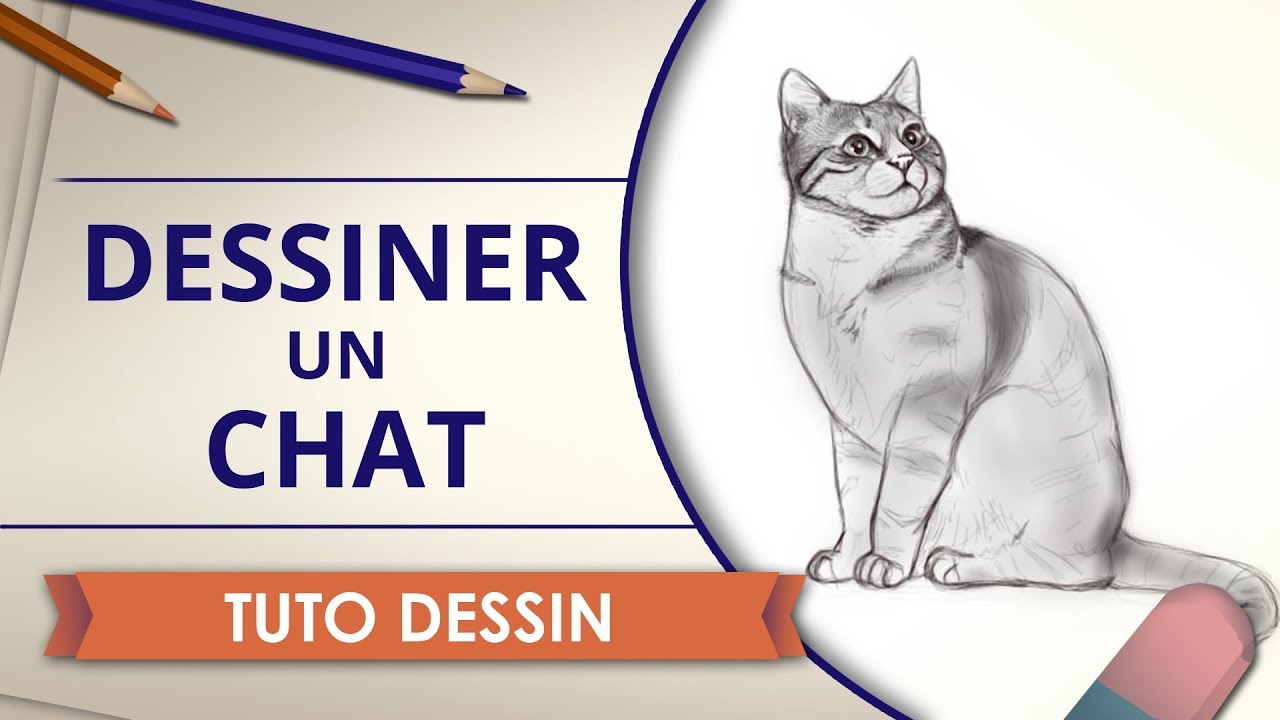 Dessiner un Chat - Tuto Dessin