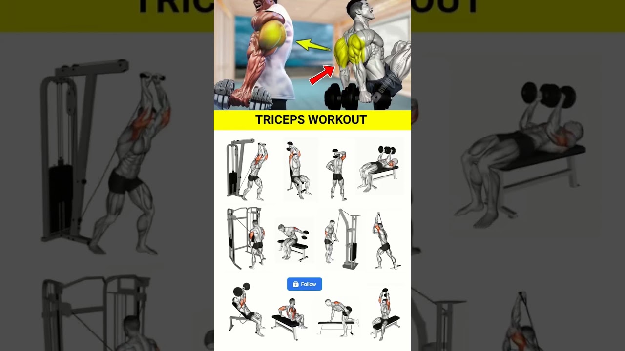 Effective Triceps Workout  💪🏼🔥 #exercise #fitness #gym #gymtok #workout #shorts