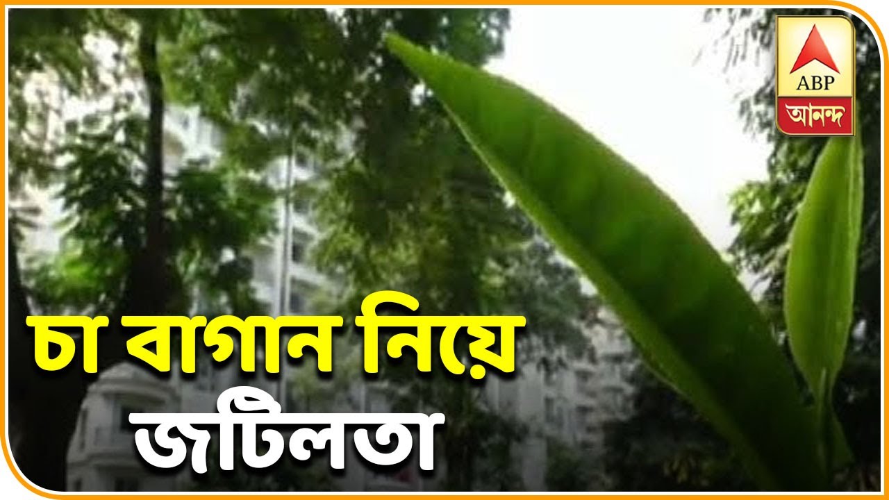 Reporter Stories: Labourer unrest at tea garden in North Bengal