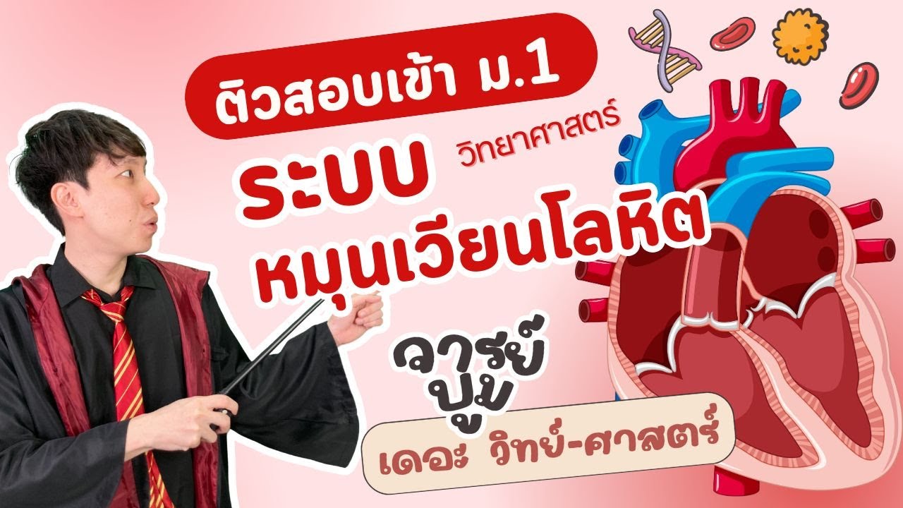 ระบบหมุนเวียนโลหิต ติวสอบเข้า ม.1