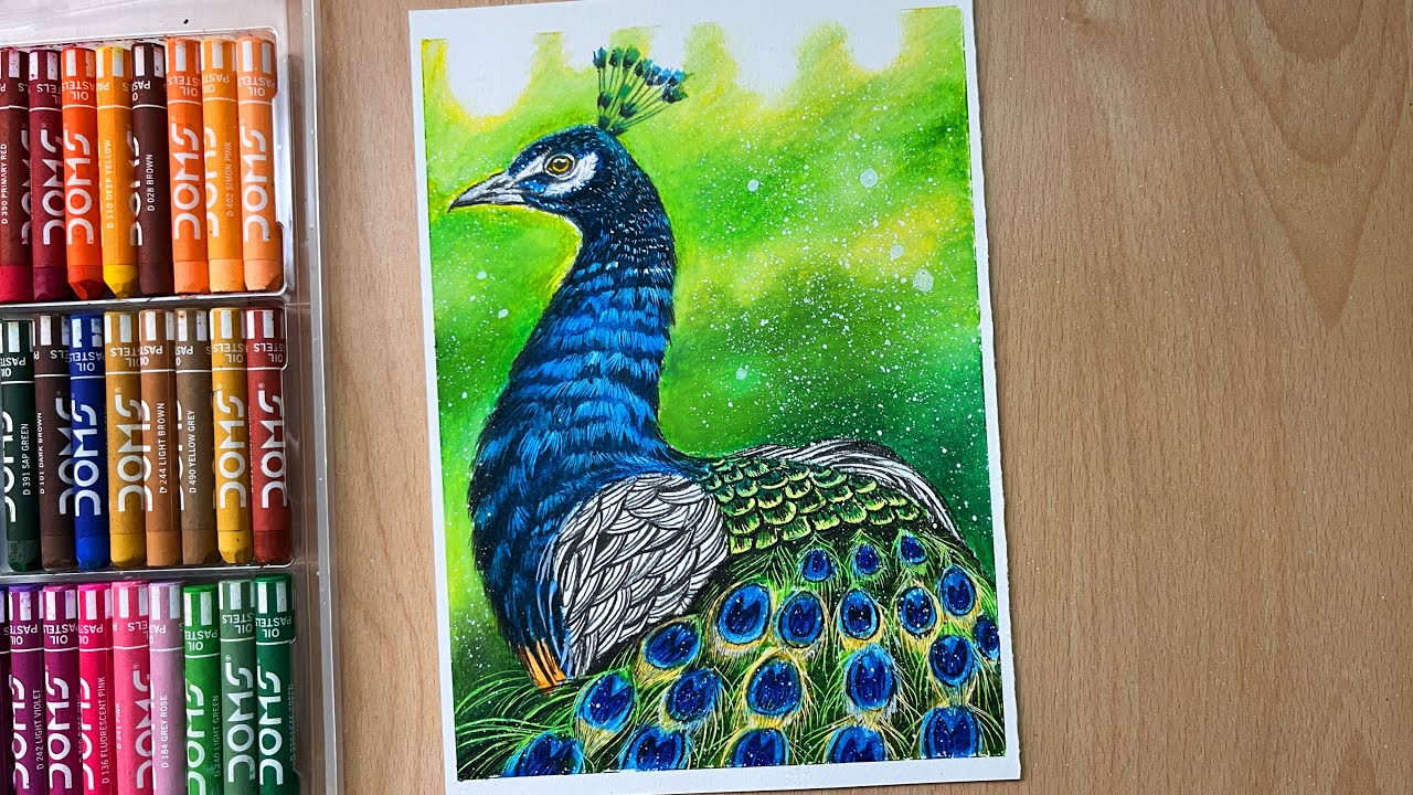 Peacock in Nature Drawing with Oil Pastel Step-by-Step