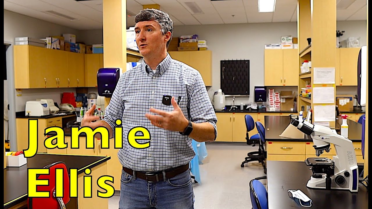 Florida Beekeepers Part 7: Jamie Ellis, Univ. of Florida, segment 1 of 2