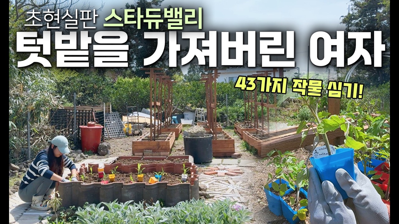 무려 43가지 작물, 23종류의 외국토마토 64그루 모종심기 | 텃밭 섞어심기 | 시멘트없이 땅에 기둥세우기 | 제주도 귀촌 라이프