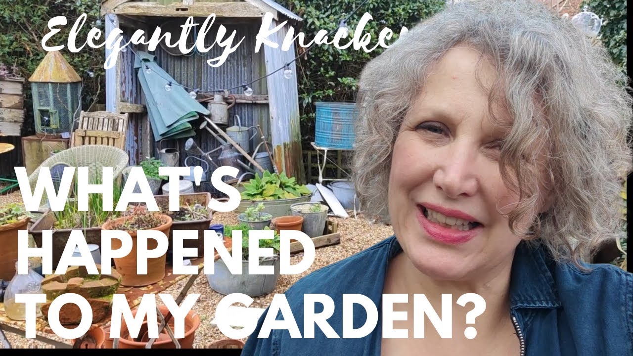 КАК МОЙ САД СТАЛ ТАКИМ ГРЯЗНЫМ? #renovationvlog