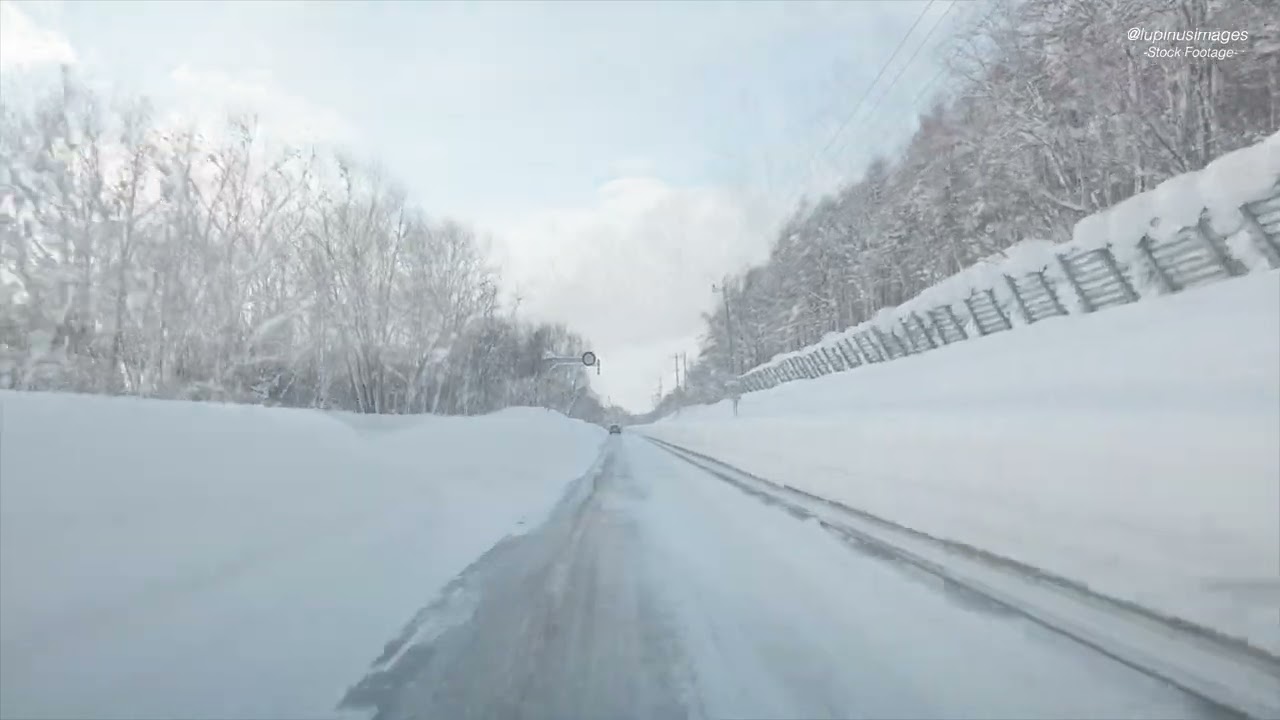 「メープル街道393」2025年1月