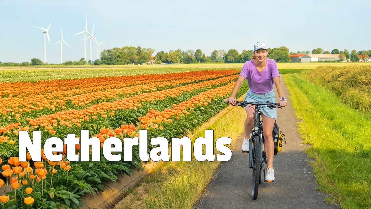 Netherlands by Bike! 🇳🇱 Why the Dutch Cycle Daily